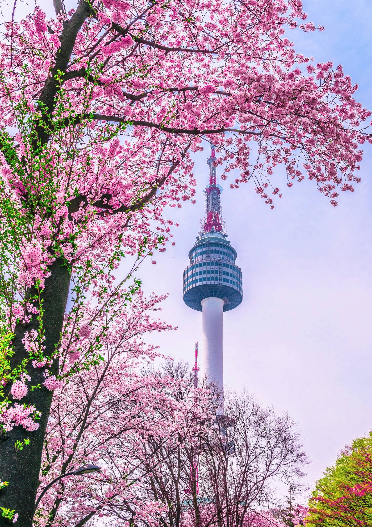 tour a corea del sur