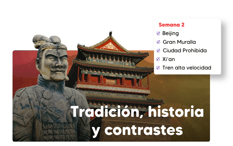 guerreros de terracota visita