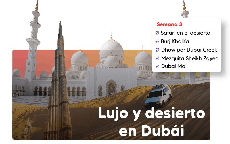 tour de safari en el desierto