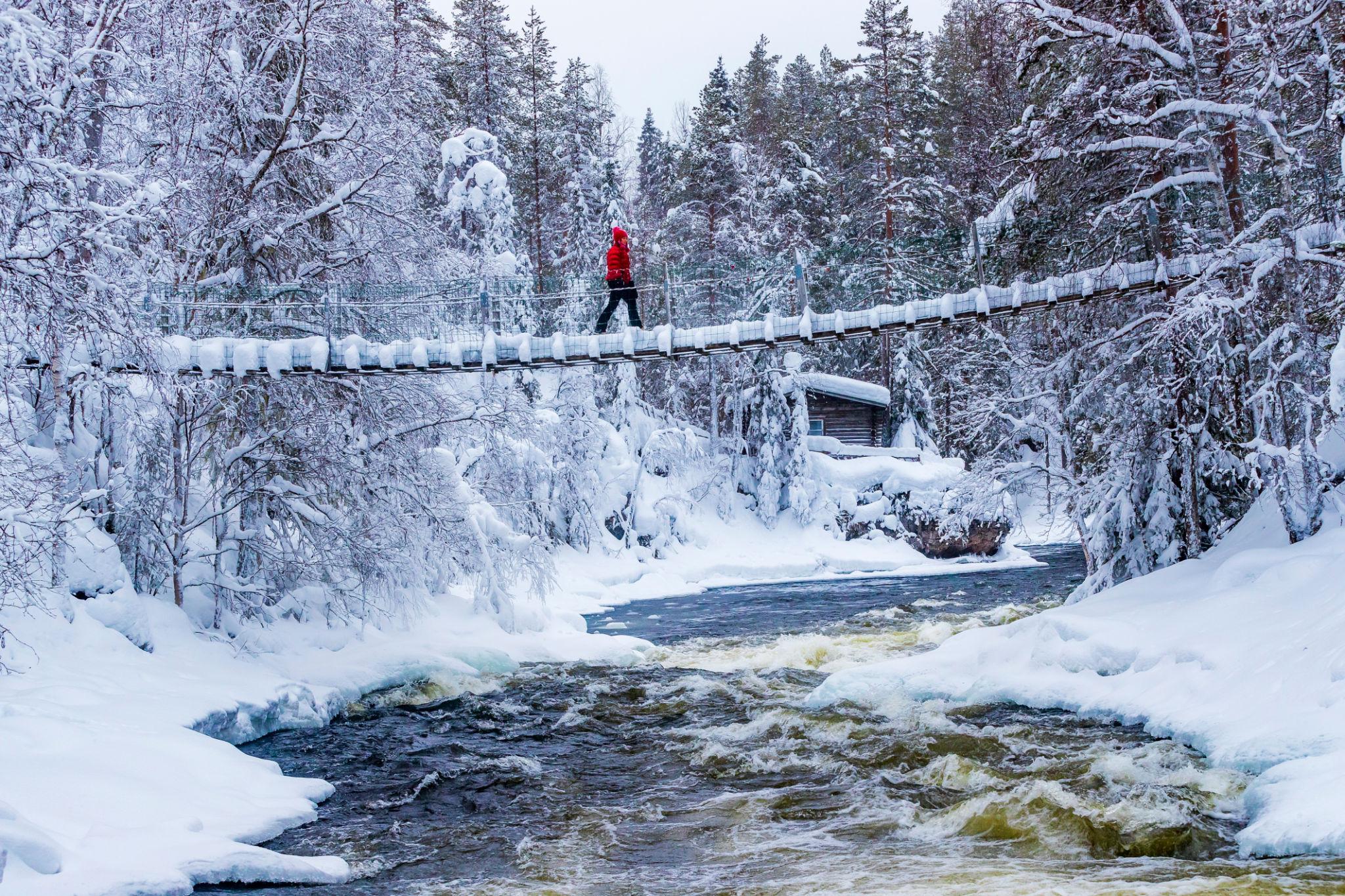 Parque Oulanka
