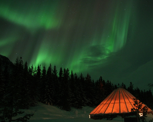 Aventuras Árticas y Safari de Auroras