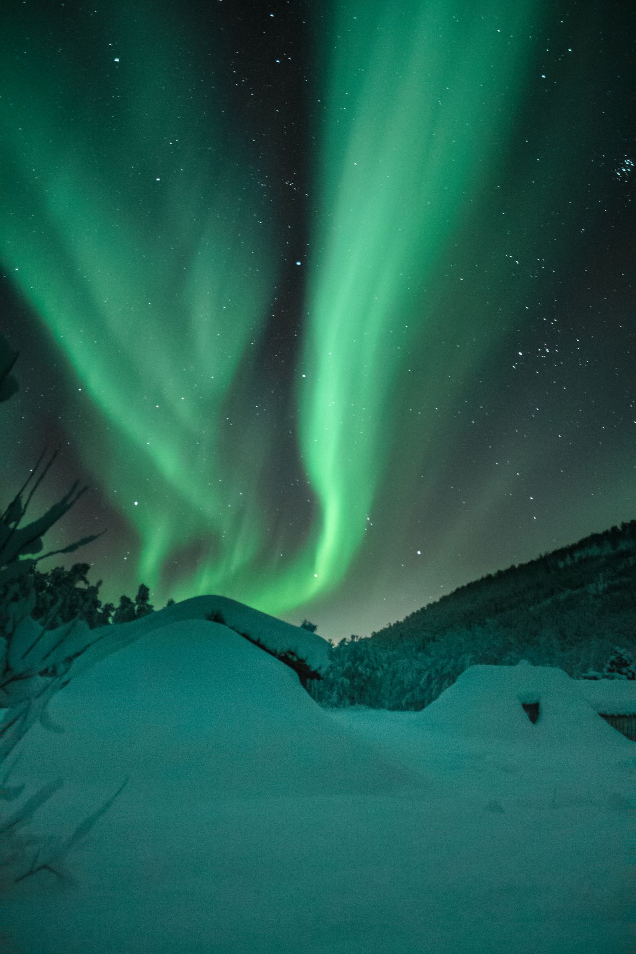 Auroras-boreales-laponia-finlandia