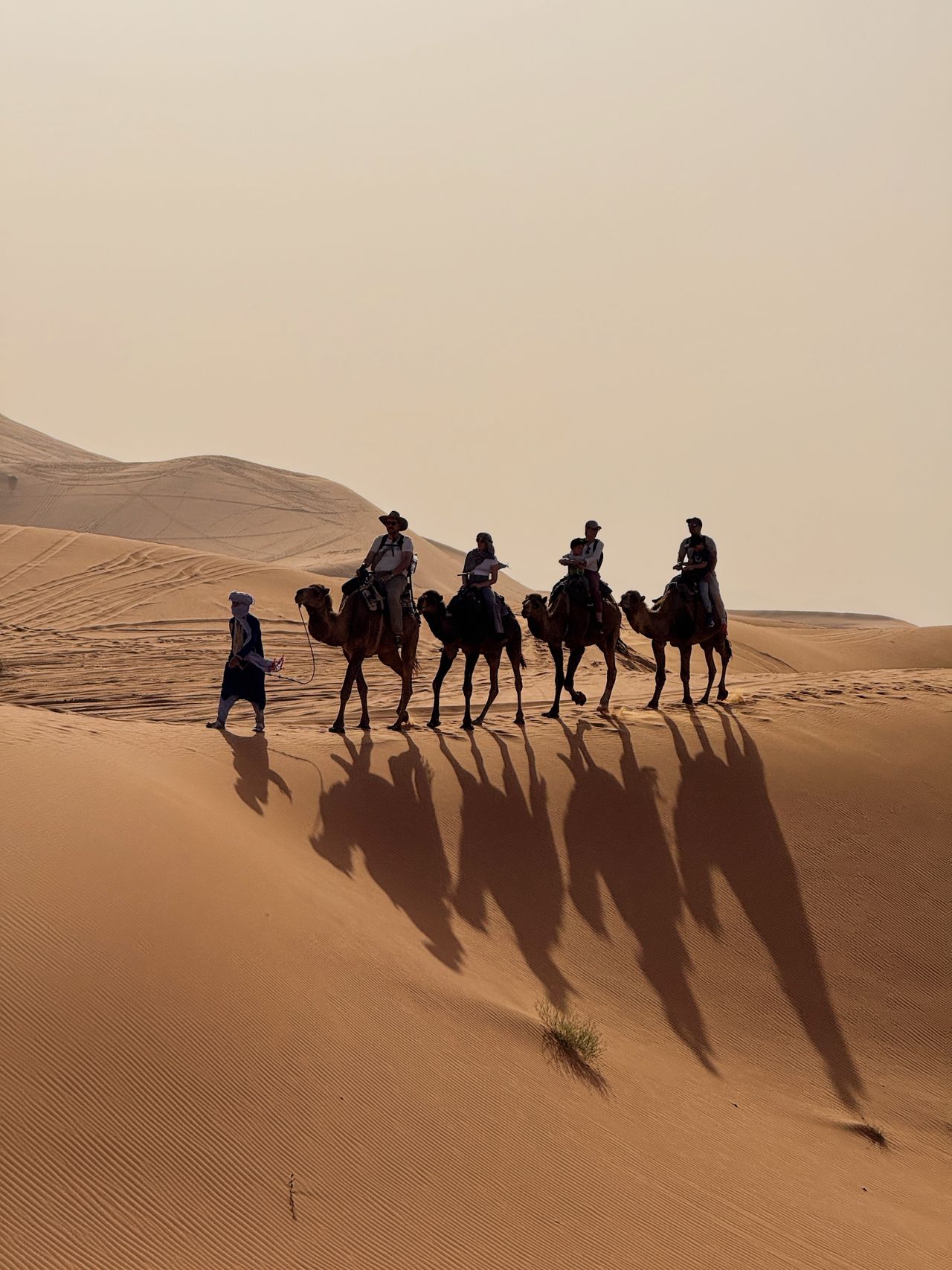 Caravana de turistas montando camellos liderados por un guía local sobre las dunas doradas del desierto de Dubái