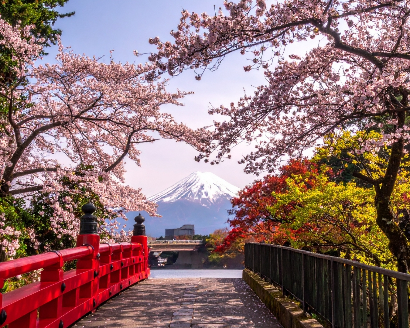 viaje a japon desde colombia 