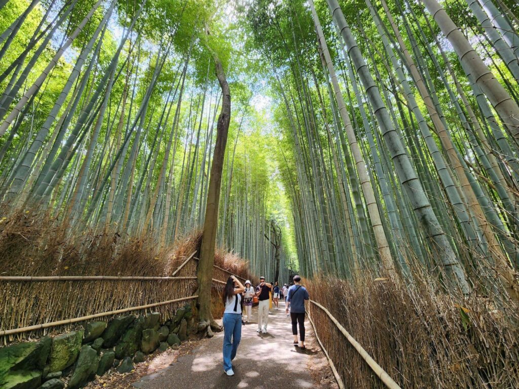 ESCAPADA A JAPÓN