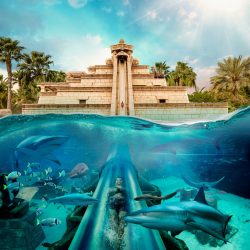 Dubai (Aquaventure Water Park)