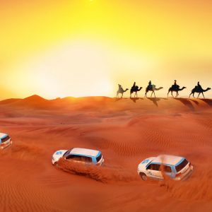 Safari por el desierto